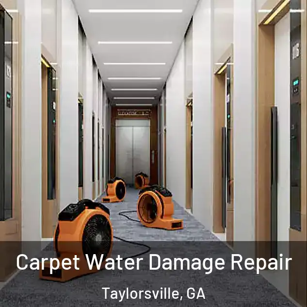  Carpet Water Damage Repair Taylorsville, GA