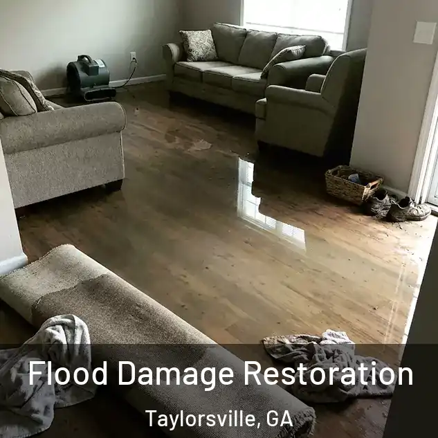  Flood Damage Restoration Taylorsville, GA