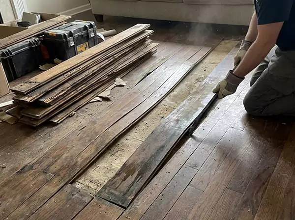 Water Damage Drying in Taylorsville