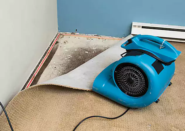 Your Water Damage Experts in Taylorsville, GA