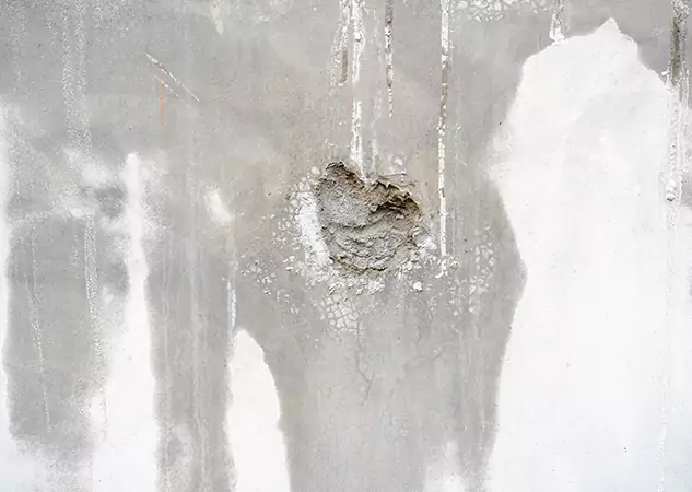 Your Mold Mitigation Solutions Partner in Taylorsville, GA