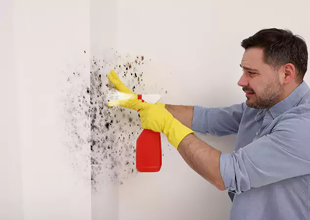 Your Water Mold Fire Restoration Partner in Taylorsville, GA