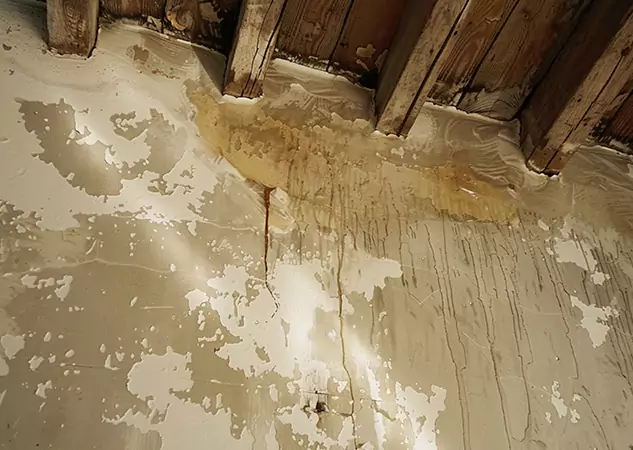 Your Trusted Restoration Company in Taylorsville, GA