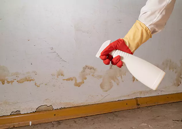 Your Water Restoration and Mold Remediation Specialists in Taylorsville, GA