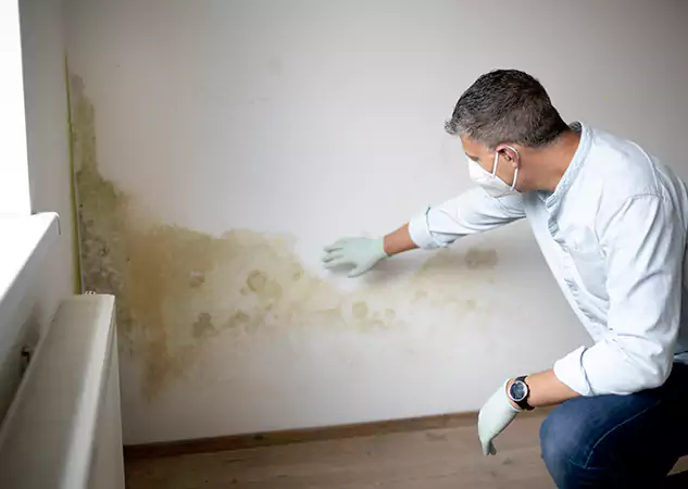Reach Our Remediation Team Before Damage Grows in Taylorsville, GA!