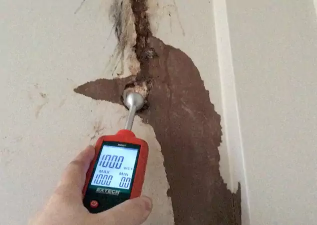 Your Water Damage Assessment Partner in Taylorsville, GA