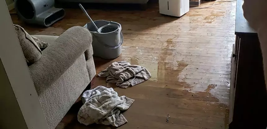 Professional Basement Water Remediation Services in Taylorsville, GA
