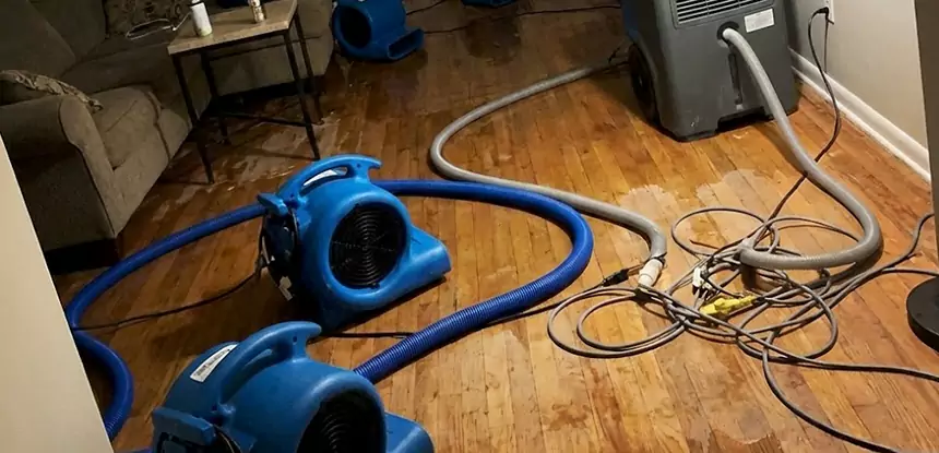 Basement Flood Restoration Services in Taylorsville