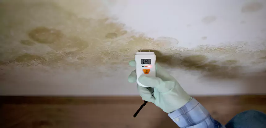Emergency Mold Remediation in Taylorsville