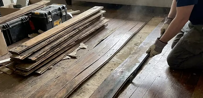 Wood Rot and Fungus Repair in Taylorsville