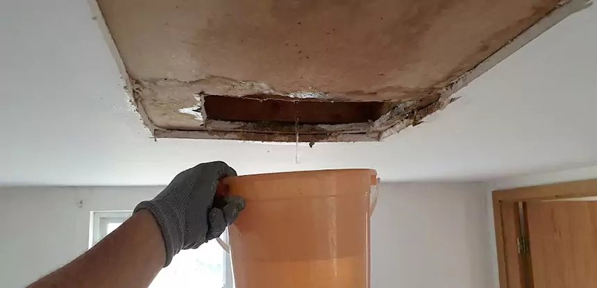 Ceiling Mold Repair Taylorsville
