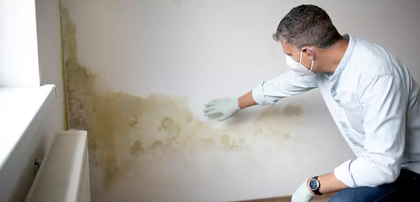 Mold and Water Damage Repair in Taylorsville