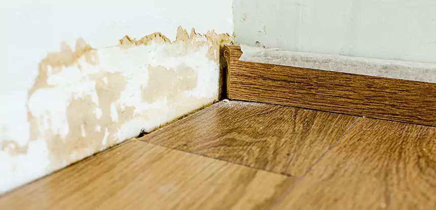 Professional Fix Water Damaged Wood Services in Taylorsville, GA