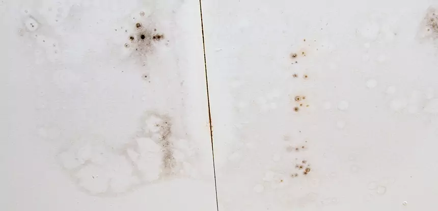 Professional Water Stain Repair Services in Taylorsville, GA
