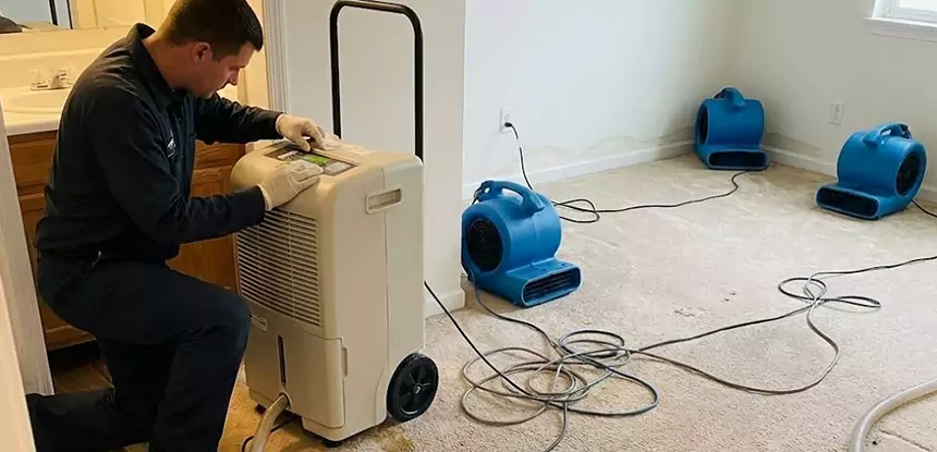 Professional Wet Carpet Removal Services in Taylorsville, GA