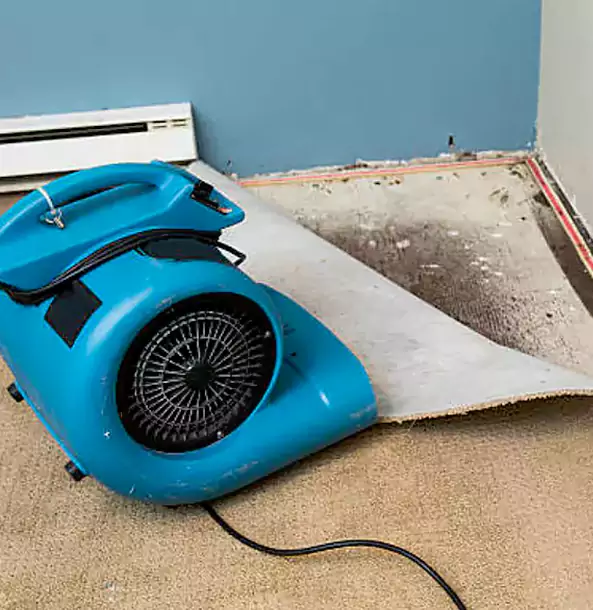 Why Taylorsville Trusts Taylorsville Restoration Pro for Carpet Flood Recovery?
