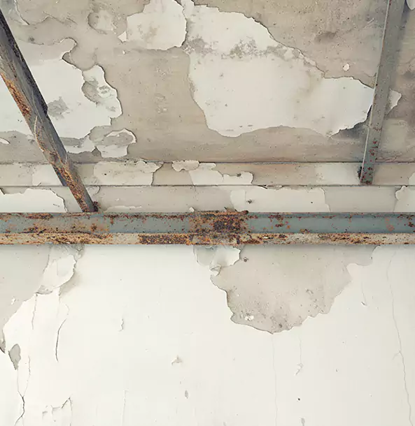 Why Taylorsville Restoration Pro Is the Right Choice in Taylorsville, GA?