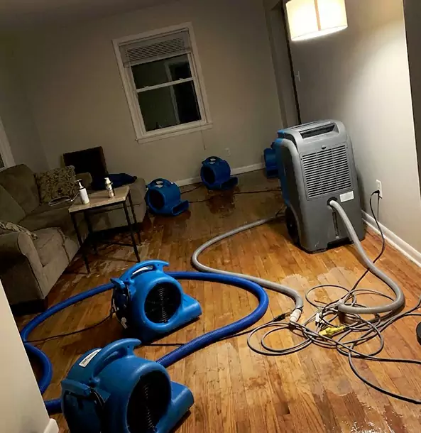 Why Taylorsville Property Owners Rely on Taylorsville Restoration Pro for Remediation?