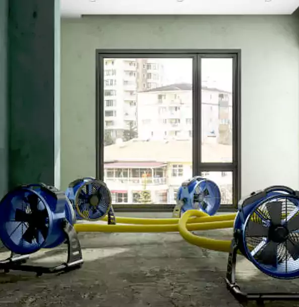 Why Taylorsville Property Owners Trust Taylorsville Restoration Pro for Water Damage Drying?