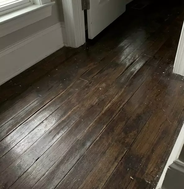 Why Taylorsville Homeowners Trust Taylorsville Restoration Pro to Fix Water Damaged Wood?