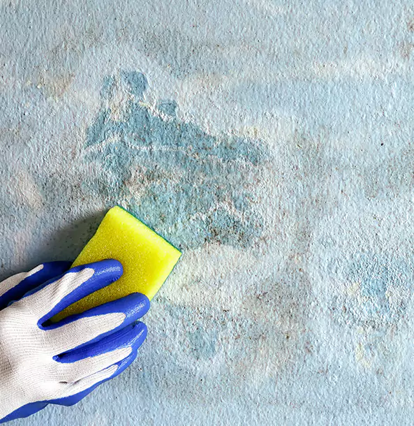 Why Taylorsville Restoration Pro Is the Right Choice in Taylorsville, GA?