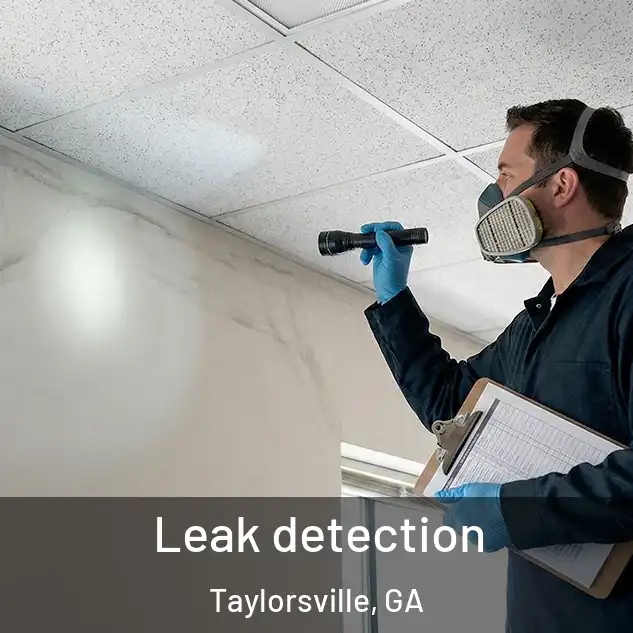  Leak detection Taylorsville, GA
