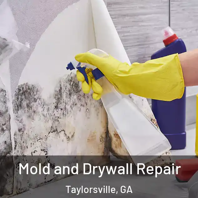  Mold and Drywall Repair Taylorsville, GA