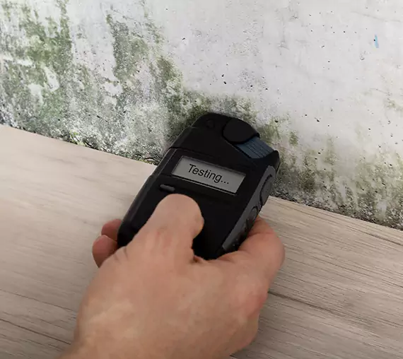 Mold Remediation Service Taylorsville