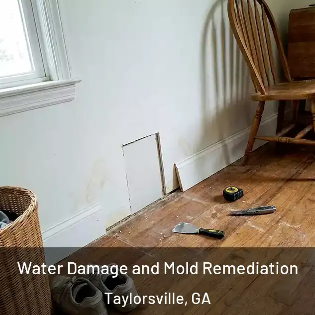  Water Damage and Mold Remediation Taylorsville, GA