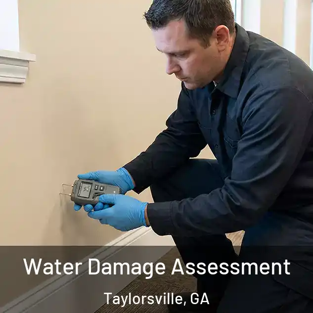  Water Damage Assessment Taylorsville, GA