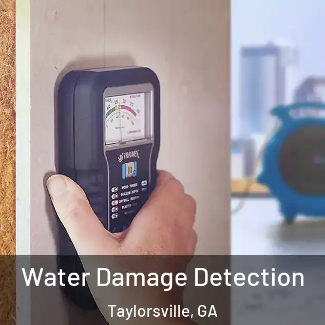  Water Damage Detection Taylorsville, GA