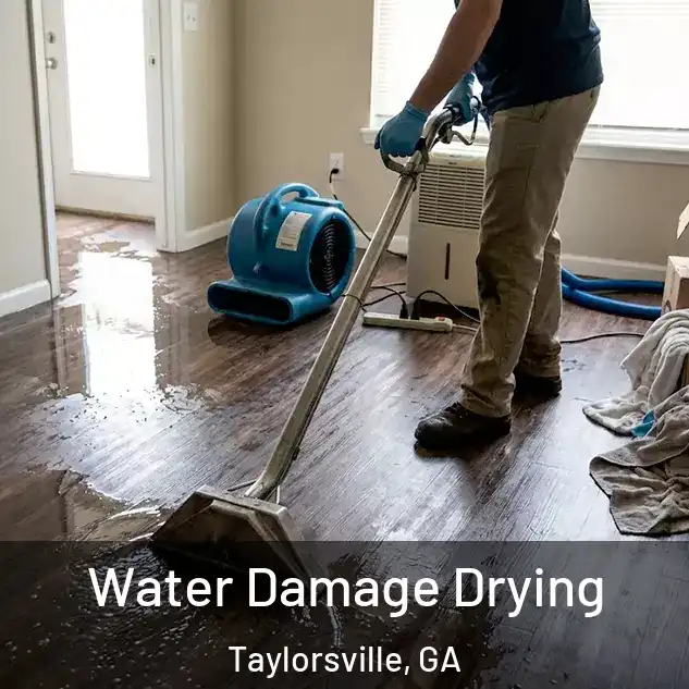  Water Damage Drying Taylorsville, GA