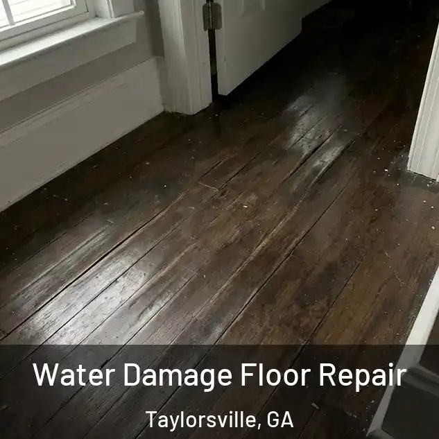  Water Damage Floor Repair Taylorsville, GA