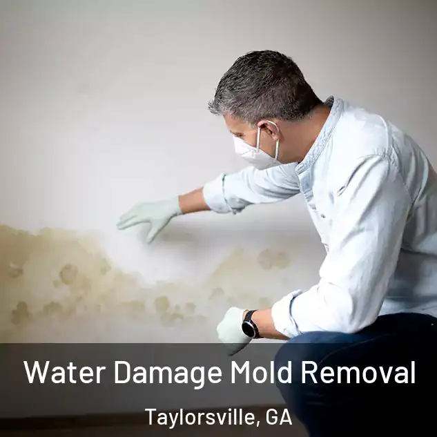  Water Damage Mold Removal Taylorsville, GA