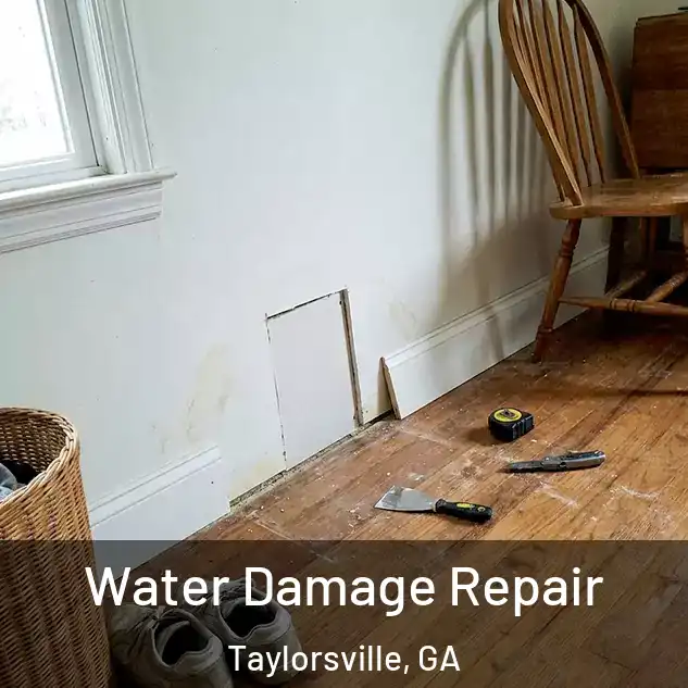  Water Damage Repair Taylorsville, GA