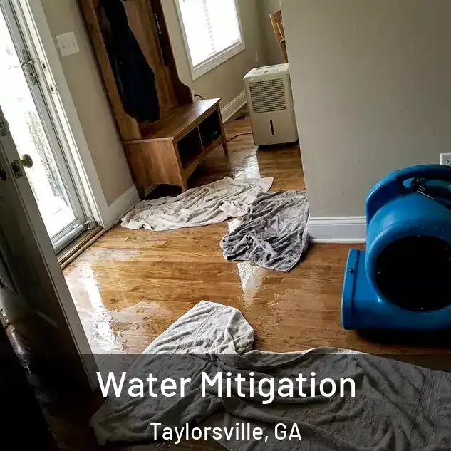  Water Mitigation Taylorsville, GA