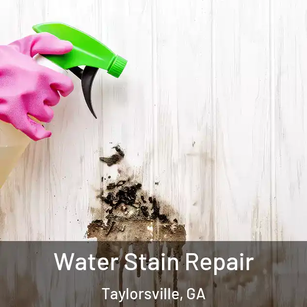  Water Stain Repair Taylorsville, GA