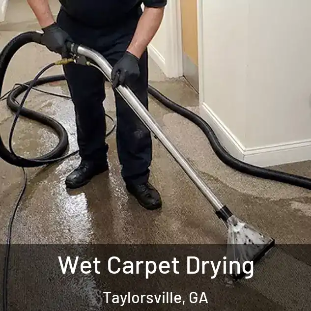  Wet Carpet Drying Taylorsville, GA