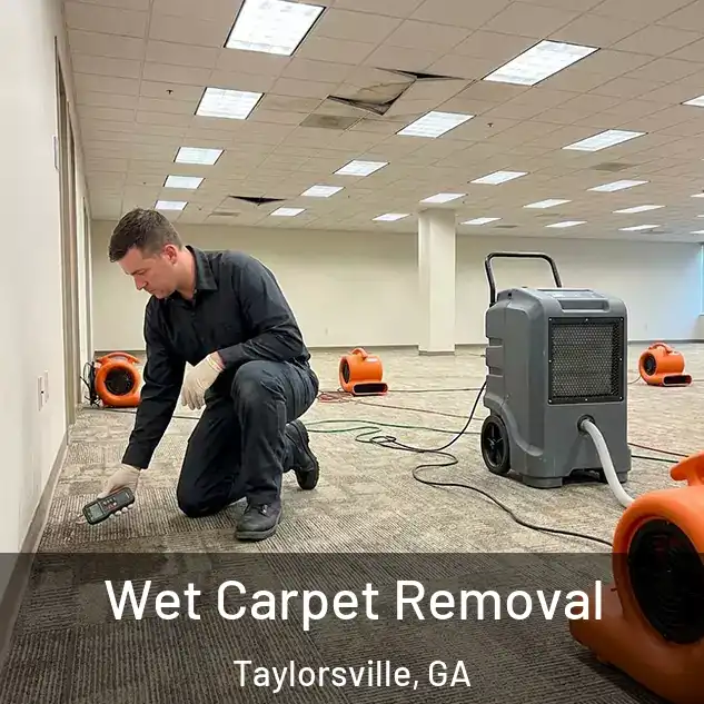  Wet Carpet Removal Taylorsville, GA
